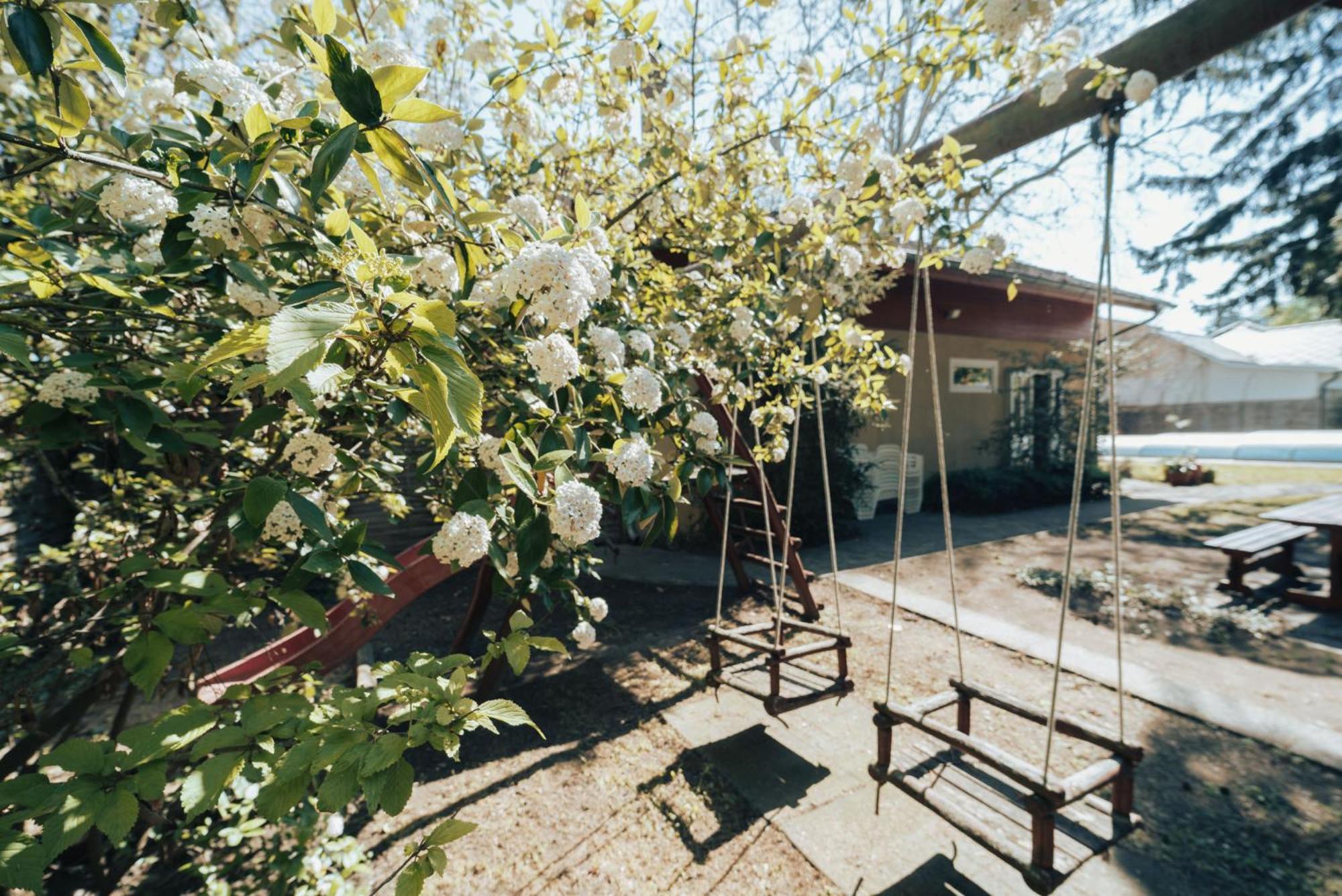 Villa Dorottya Balatonföldvár Exteriér fotografie